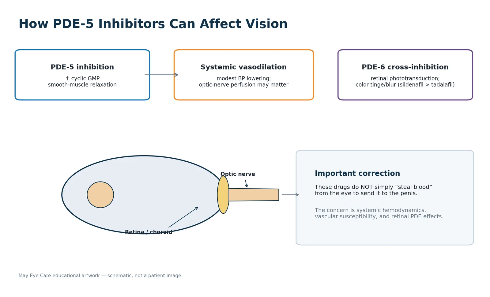 Diagram of how PDE-5 inhibitors can affect vision, as two separate pathways: PDE-5 inhibition raises cyclic GMP and relaxes smooth muscle, which causes systemic vasodilation and modestly lowers blood pressure; separately, partial PDE-6 cross-inhibition in the retina (sildenafil more than tadalafil) can tinge or blur vision