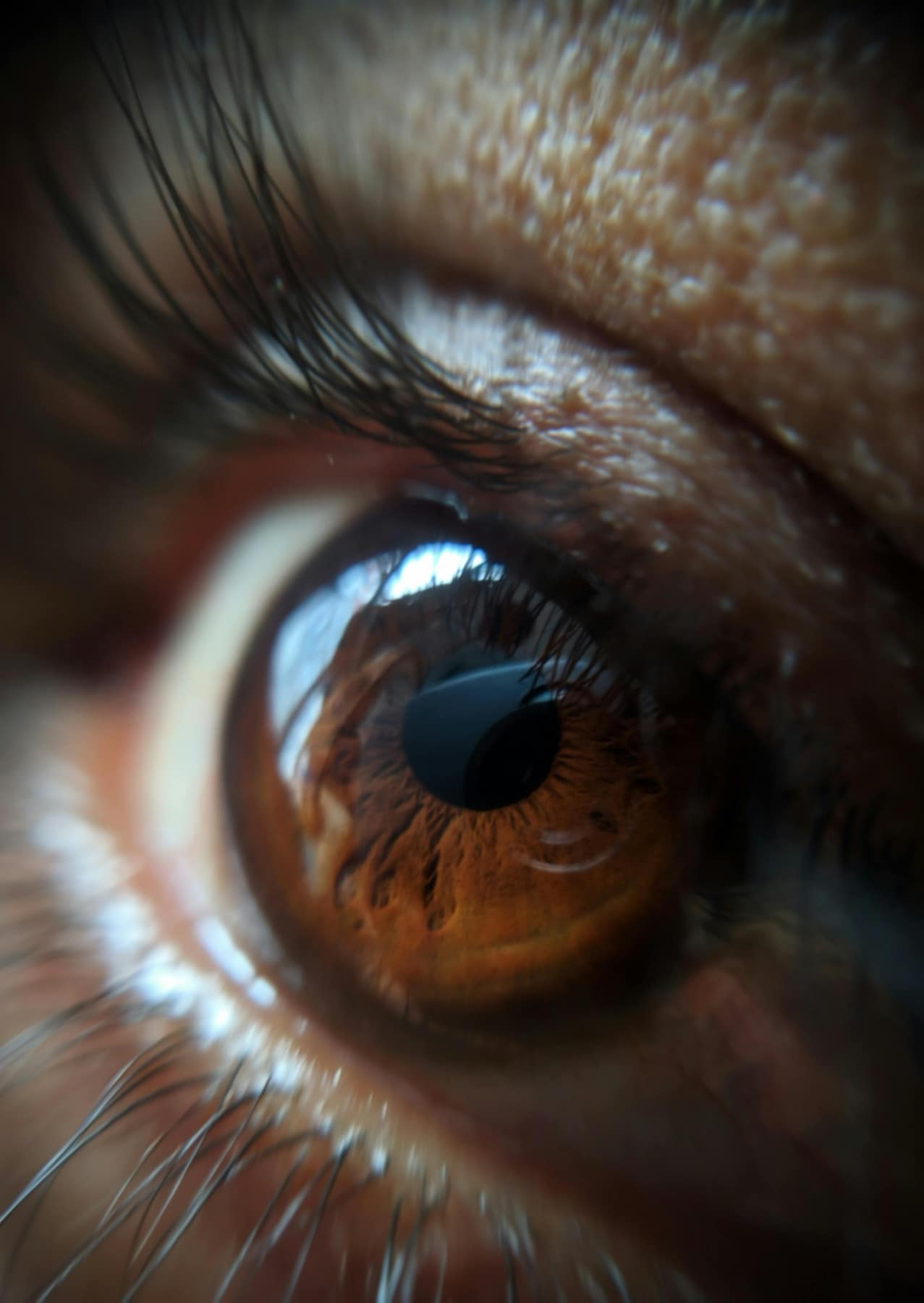 Close-up of a bright, healthy human eye